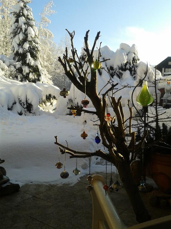 Pension Andante Spindleruv Mlyn Exterior photo