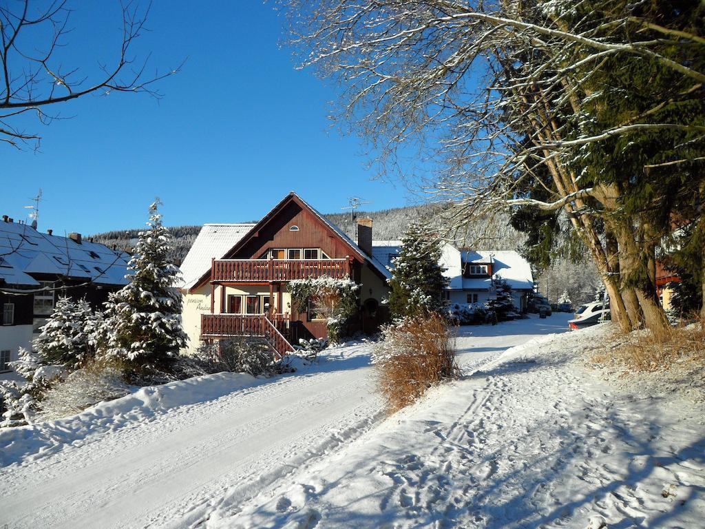 Pension Andante Spindleruv Mlyn Exterior photo