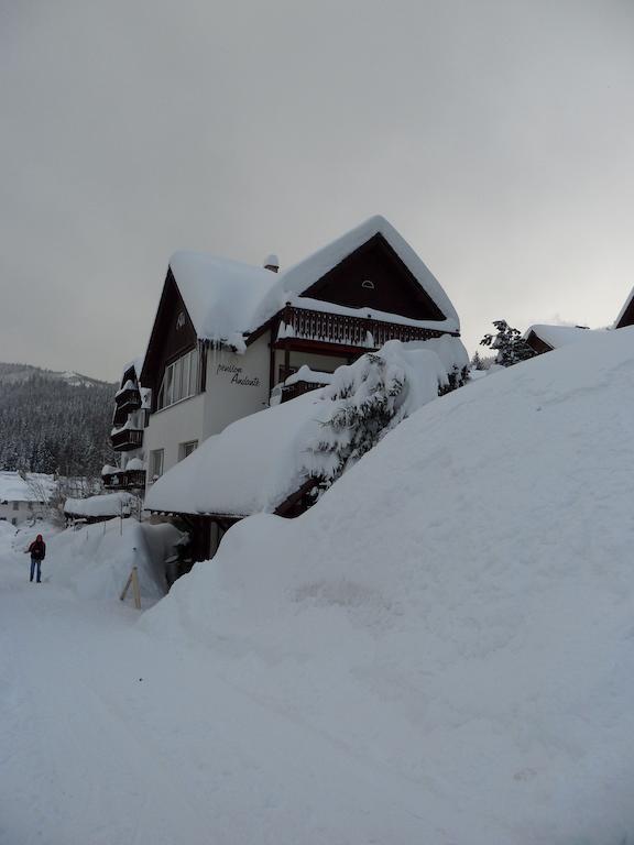 Pension Andante Spindleruv Mlyn Exterior photo