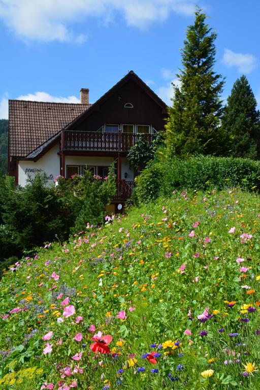 Pension Andante Spindleruv Mlyn Exterior photo